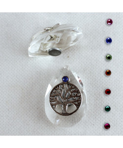Calamita Magnete in Cristallo con Albero della Vita Confettata Segnaposto