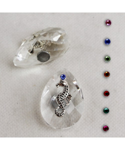 Calamita Magnete in Cristallo con Cavallino Cavalluccio Marino Mare Confettata Segnaposto