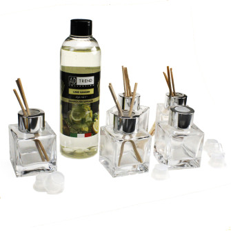 Kit 5 pz Profumatore in Vetro con Ricarica Profumo Essenza Lime Ginger Limone Agrumi Diffusore per Ambienti
