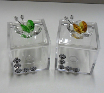 Scatolina con farfalle in vari colori