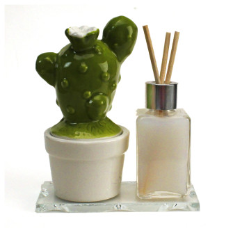 Profumatore in vetro e Porcellana con Scatolina Vasetto Piantina Cactus Nozze Battesimo Comunione Portagioie Diffusore Profumo Ambienti