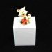 Scatolina in plexiglass con gattini (kit 24 pezzi)