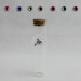 Provetta-Barattolo-Blasone-in-Cristallo-Pesce-Pesciolino-Nemo-Confettata-Segnaposto