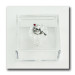 Scatola portagioie in plexiglass Fatina Luna Trilly Campanellino Peter Pan Confetti plexi 