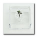 Scatola portagioie in plexiglass Fatina Trilly Campanellino Peter Pan Confetti plexi 