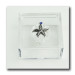 Scatola portagioie in plexiglass Stella Marina Mare Confetti plexi 